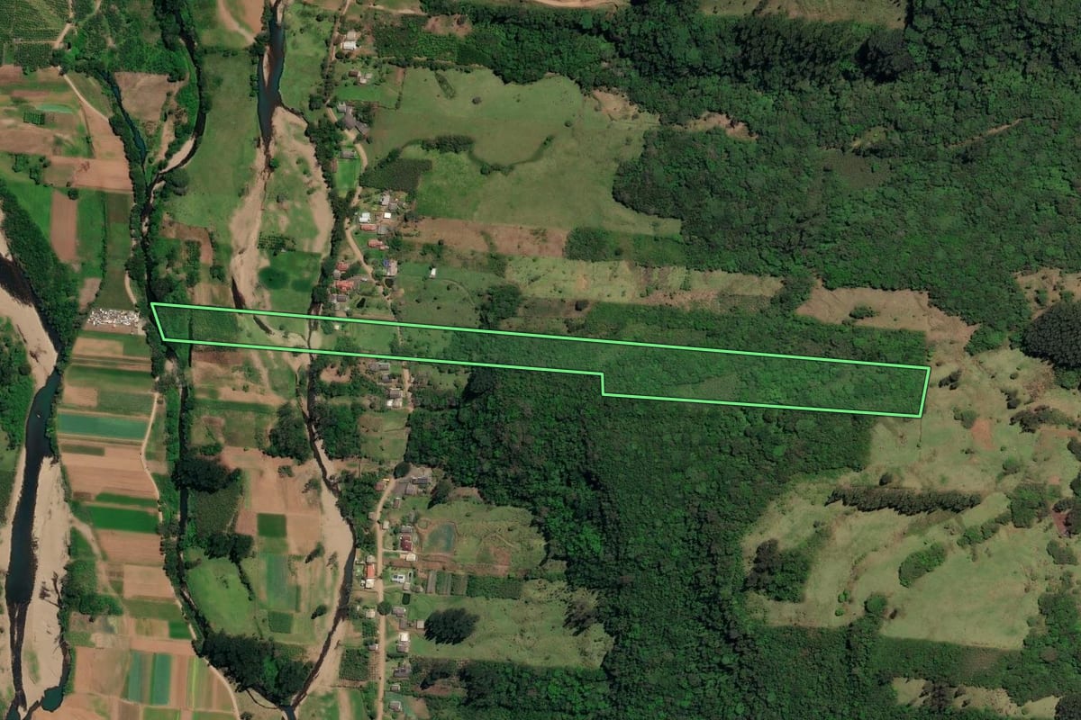 Imagem de satélite do imóvel rural em Três Forquilhas (RS), com o contorno declarado no CAR desenhado por cima.