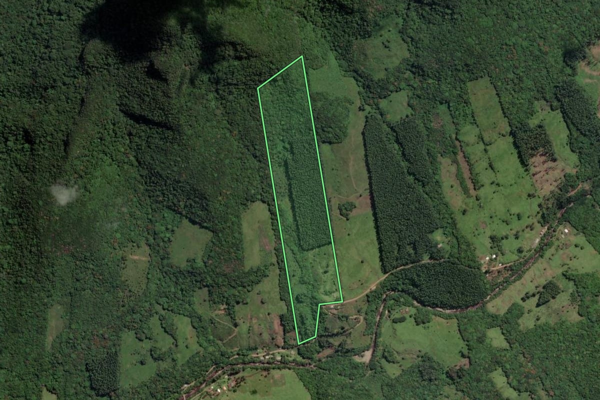 Imagem de satélite do imóvel rural em Três Forquilhas (RS), com o contorno declarado no CAR desenhado por cima.