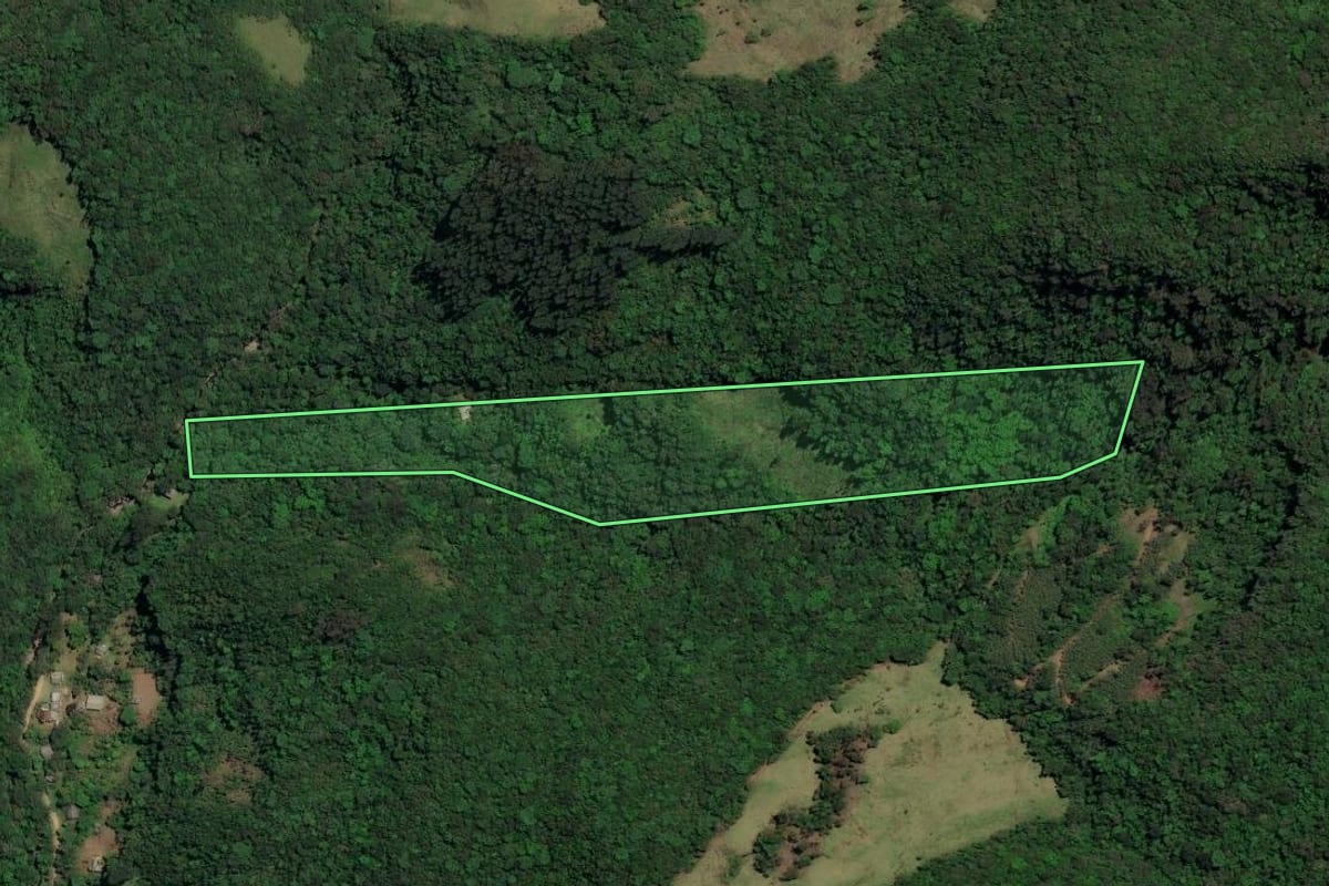 Imagem de satélite do imóvel rural em Três Forquilhas (RS), com o contorno declarado no CAR desenhado por cima.
