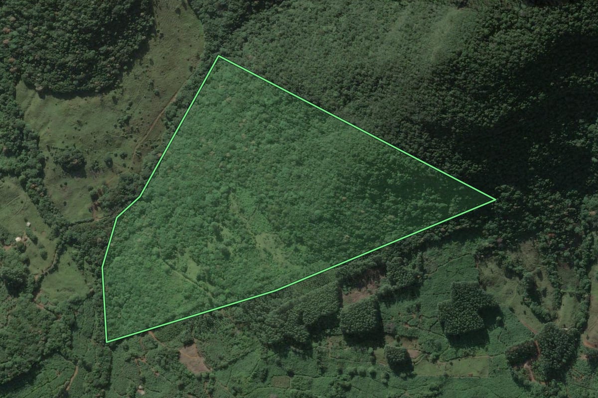 Imagem de satélite do imóvel rural em Três Forquilhas (RS), com o contorno declarado no CAR desenhado por cima.