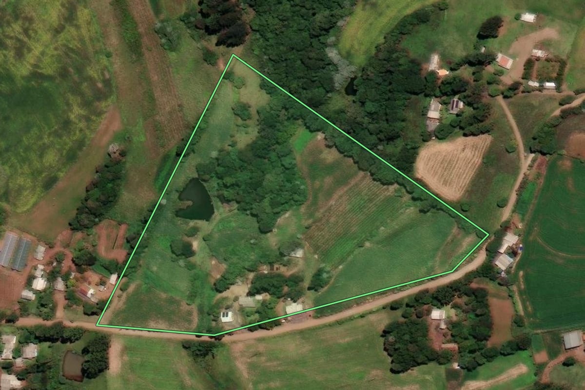 Imagem de satélite do imóvel rural em Três Palmeiras (RS), com o contorno declarado no CAR desenhado por cima.
