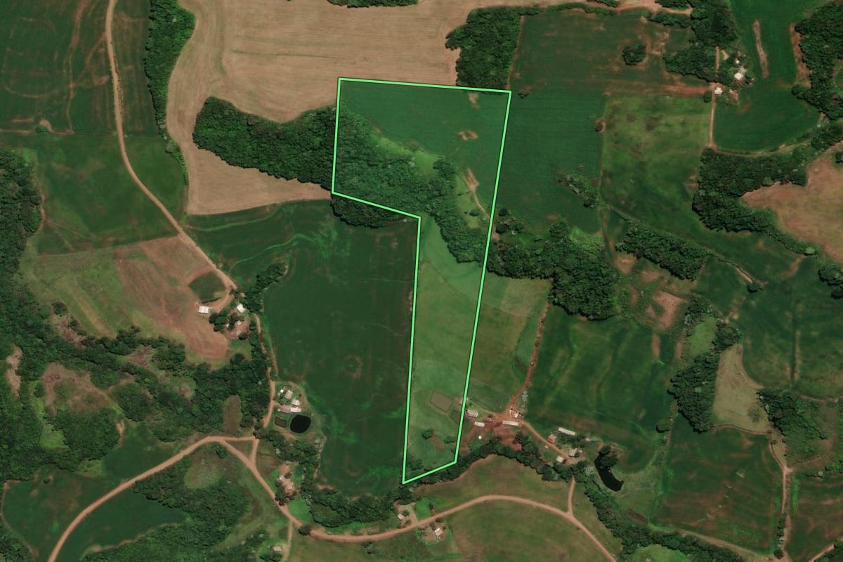 Imagem de satélite do imóvel rural em Três Palmeiras (RS), com o contorno declarado no CAR desenhado por cima.