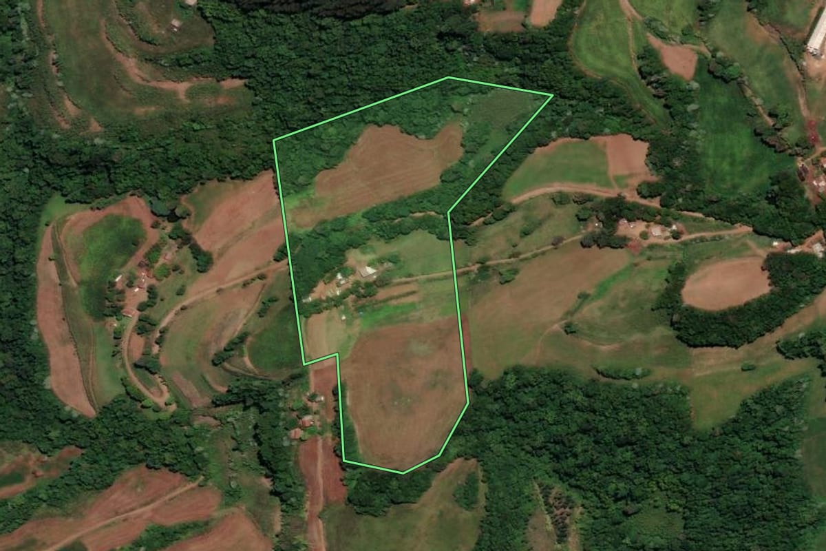 Imagem de satélite do imóvel rural em Três Palmeiras (RS), com o contorno declarado no CAR desenhado por cima.