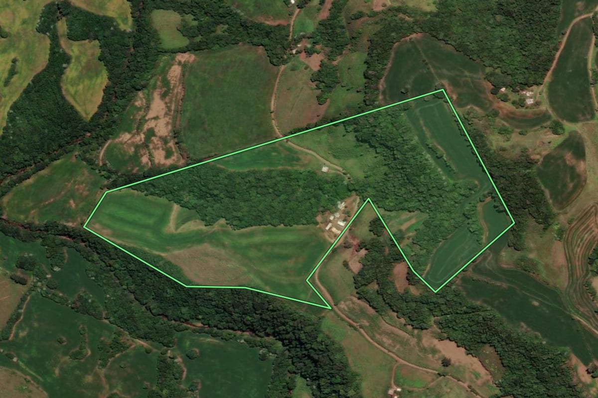 Imagem de satélite do imóvel rural em Três Palmeiras (RS), com o contorno declarado no CAR desenhado por cima.
