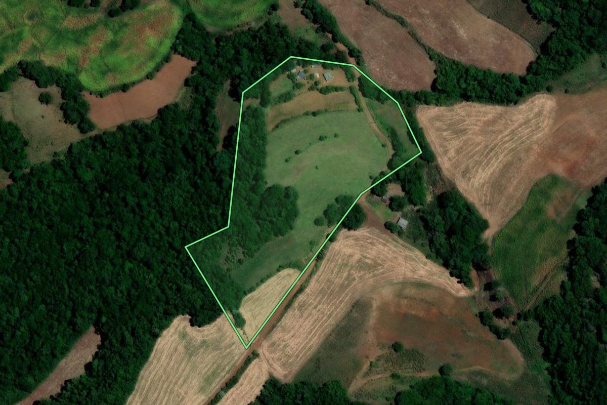 Imagem de satélite do imóvel rural em Três Palmeiras (RS), com o contorno declarado no CAR desenhado por cima.