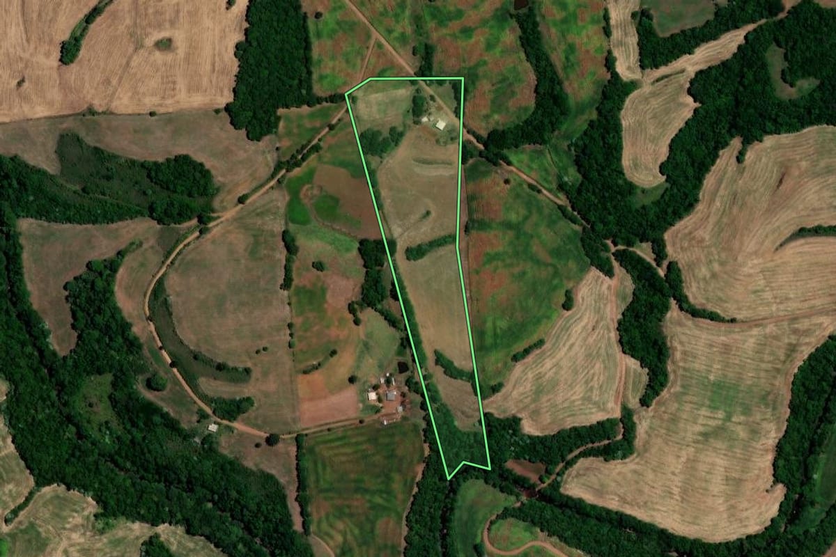 Imagem de satélite do imóvel rural em Três Palmeiras (RS), com o contorno declarado no CAR desenhado por cima.