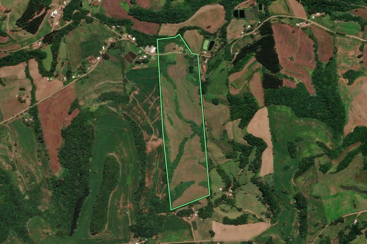 Imagem de satélite do imóvel rural em Três Palmeiras (RS), com o contorno declarado no CAR desenhado por cima.