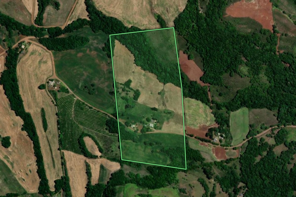 Imagem de satélite do imóvel rural em Três Palmeiras (RS), com o contorno declarado no CAR desenhado por cima.