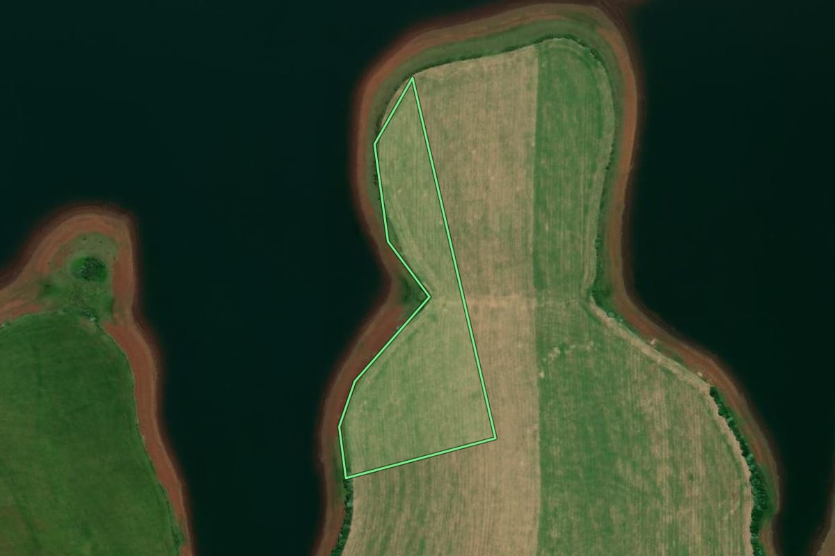 Imagem de satélite do imóvel rural em Três Palmeiras (RS), com o contorno declarado no CAR desenhado por cima.