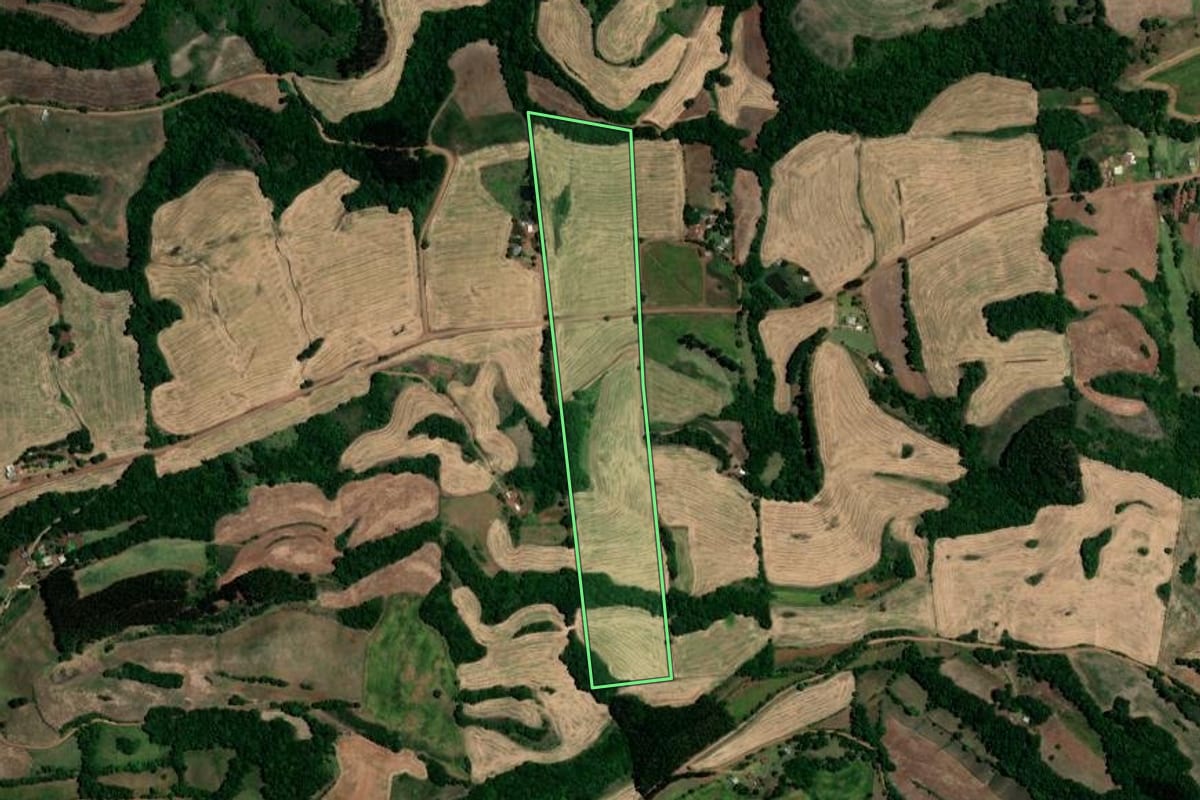 Imagem de satélite do imóvel rural em Três Palmeiras (RS), com o contorno declarado no CAR desenhado por cima.