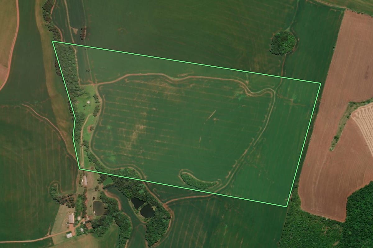 Imagem de satélite do imóvel rural em Três Palmeiras (RS), com o contorno declarado no CAR desenhado por cima.