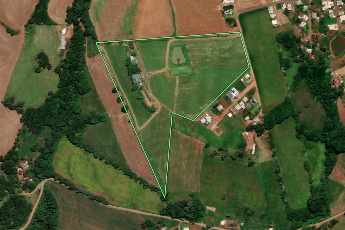 Imagem de satélite do imóvel rural em Três Palmeiras (RS), com o contorno declarado no CAR desenhado por cima.