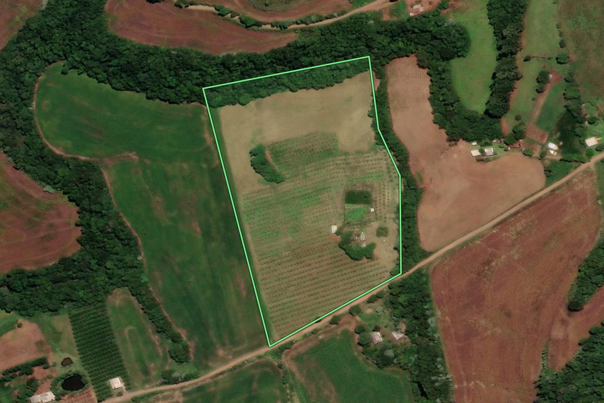 Imagem de satélite do imóvel rural em Três Palmeiras (RS), com o contorno declarado no CAR desenhado por cima.