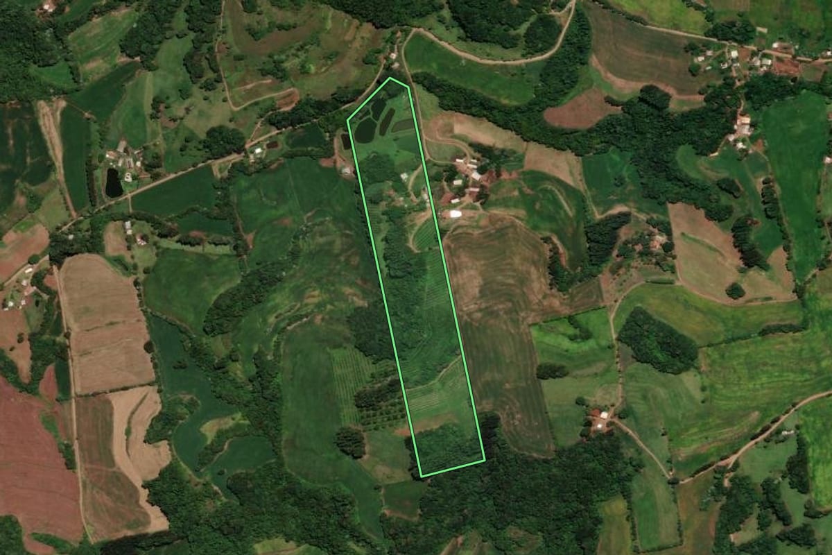 Imagem de satélite do imóvel rural em Três Palmeiras (RS), com o contorno declarado no CAR desenhado por cima.