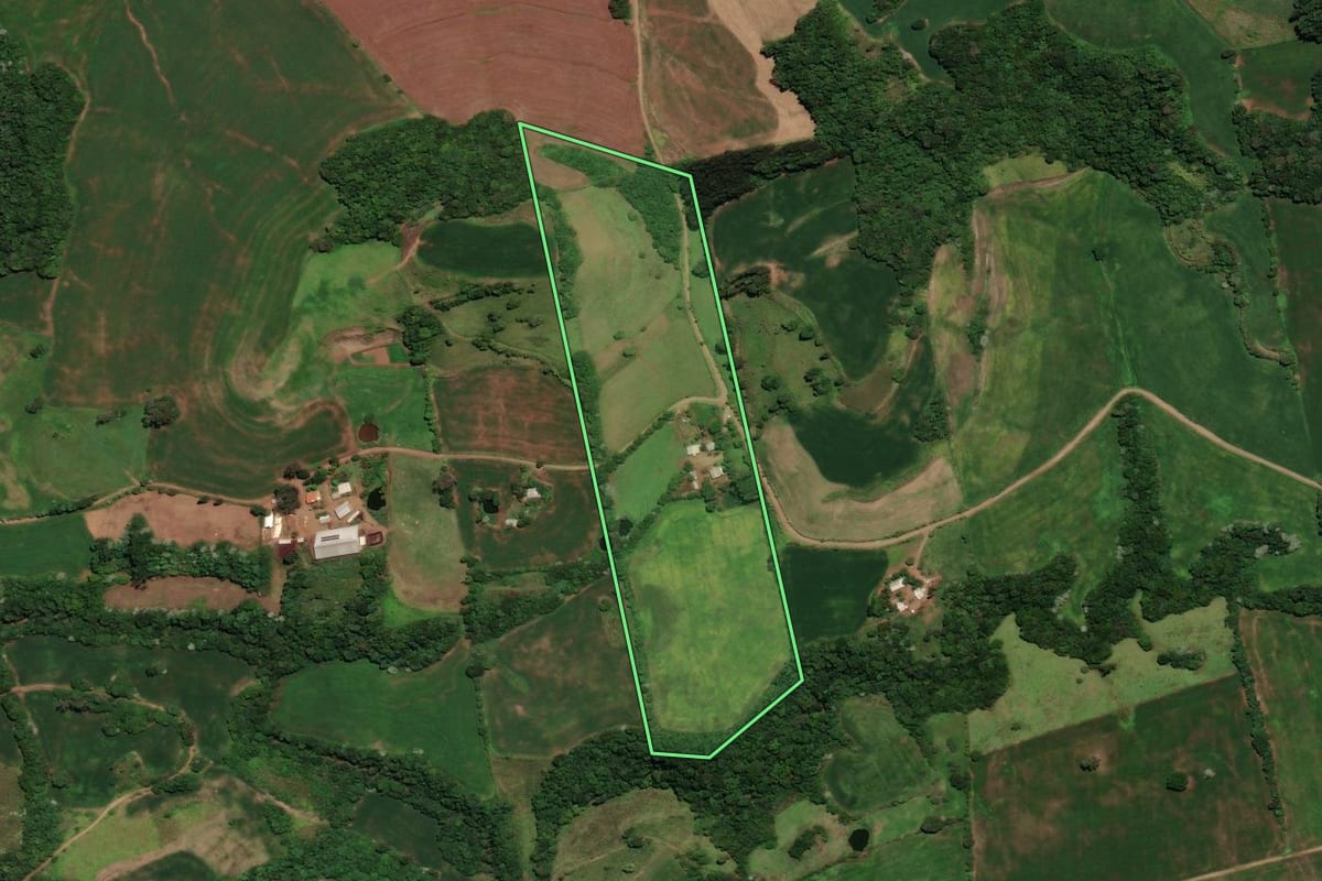 Imagem de satélite do imóvel rural em Três Palmeiras (RS), com o contorno declarado no CAR desenhado por cima.