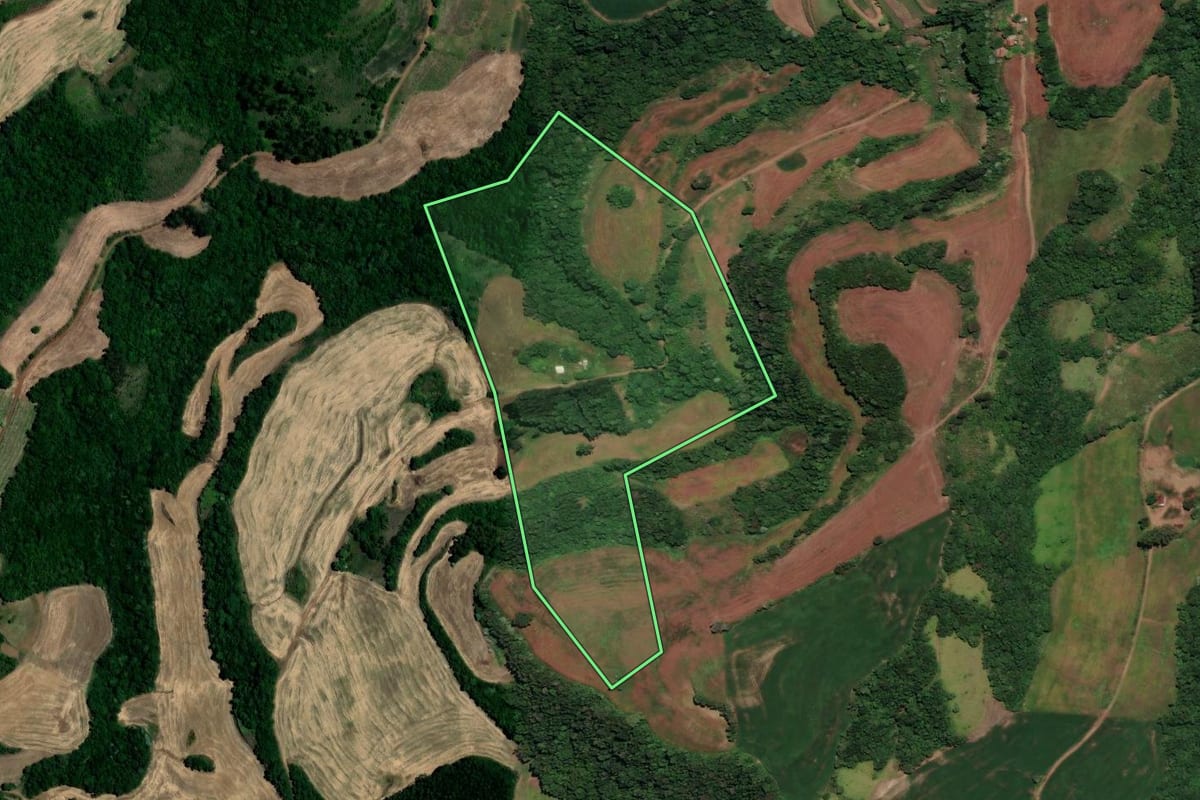 Imagem de satélite do imóvel rural em Três Palmeiras (RS), com o contorno declarado no CAR desenhado por cima.