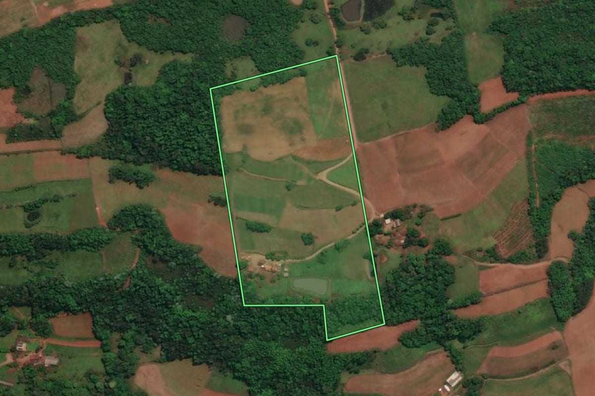 Imagem de satélite do imóvel rural em Três Passos (RS), com o contorno declarado no CAR desenhado por cima.