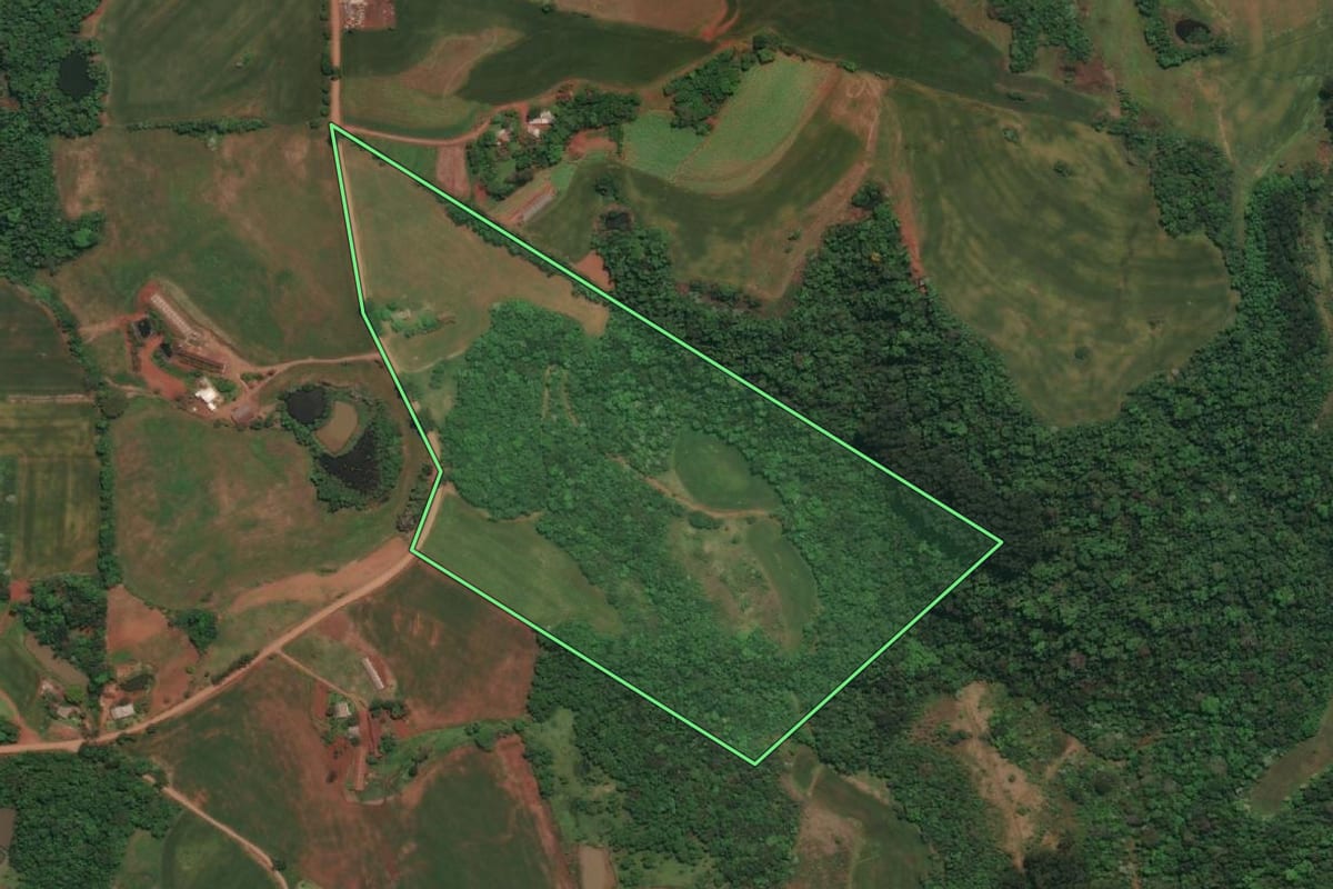 Imagem de satélite do imóvel rural em Três Passos (RS), com o contorno declarado no CAR desenhado por cima.