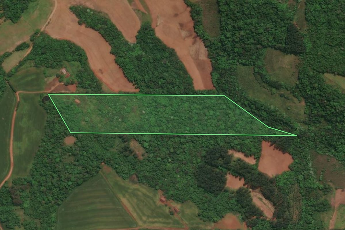 Imagem de satélite do imóvel rural em Três Passos (RS), com o contorno declarado no CAR desenhado por cima.