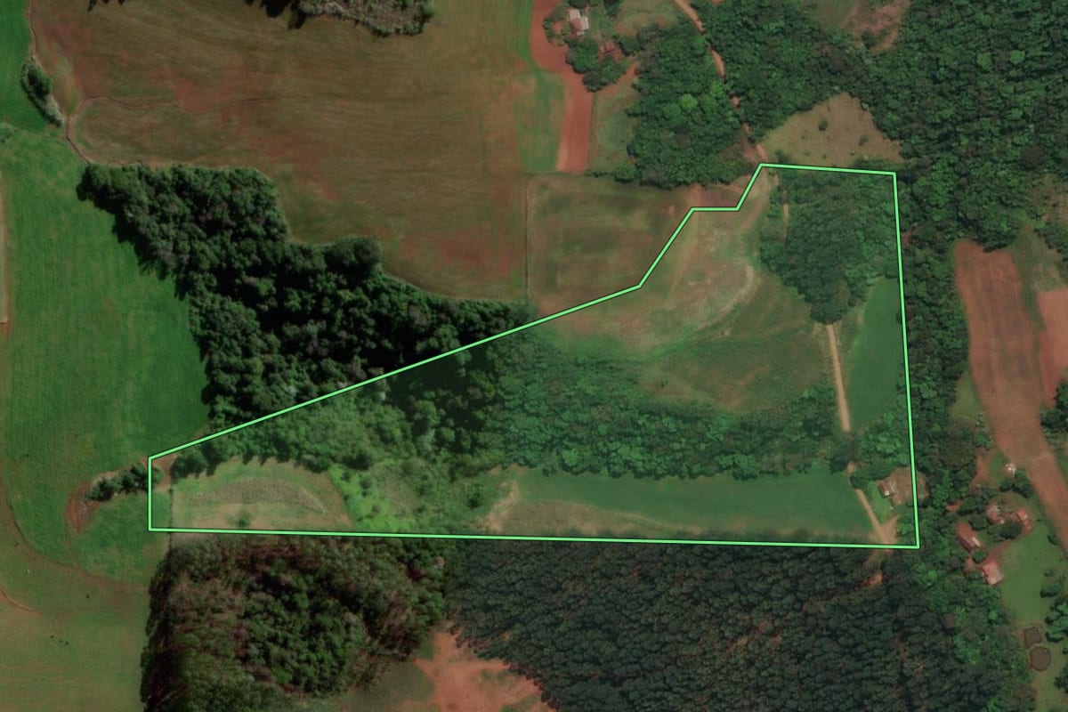 Imagem de satélite do imóvel rural em Três Passos (RS), com o contorno declarado no CAR desenhado por cima.
