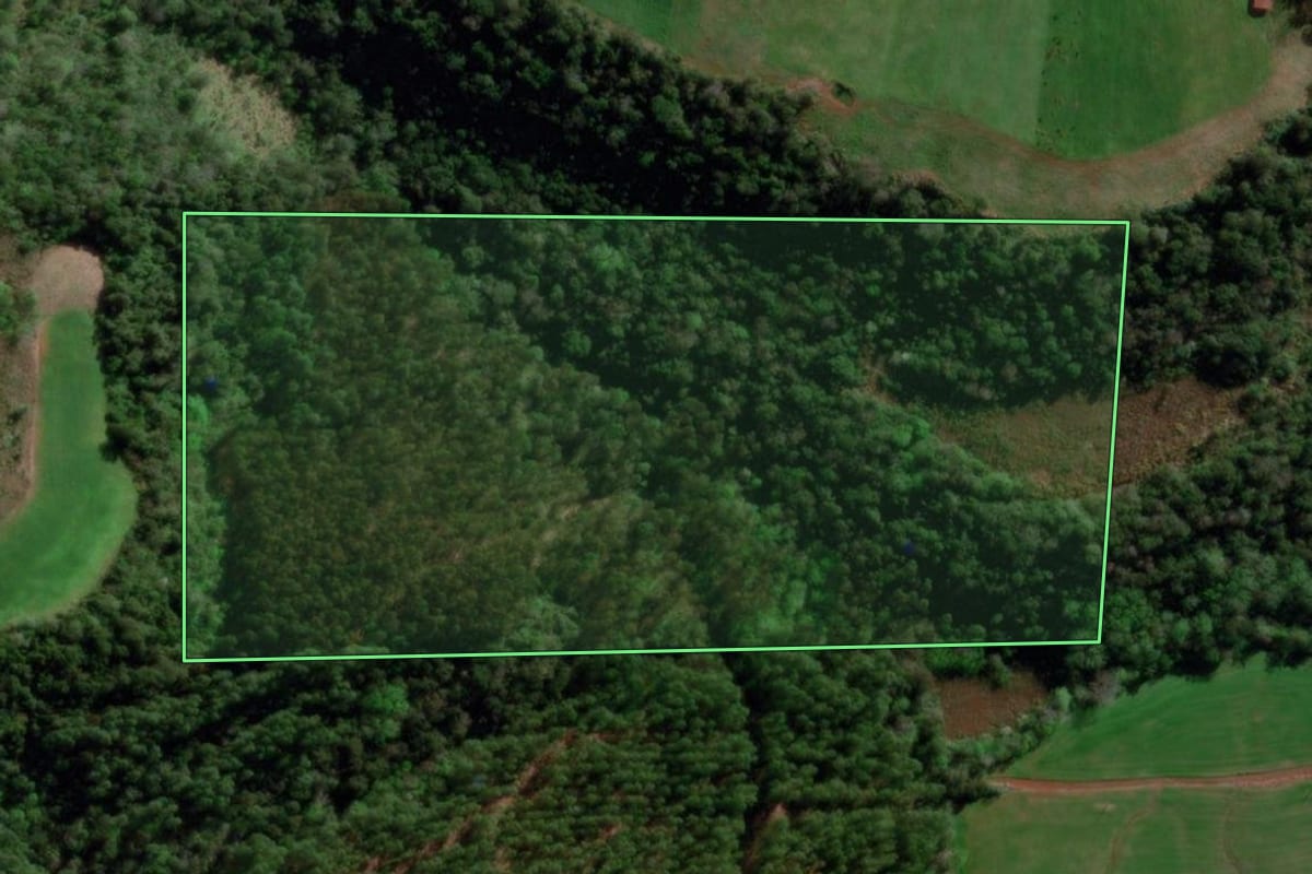 Imagem de satélite do imóvel rural em Três Passos (RS), com o contorno declarado no CAR desenhado por cima.