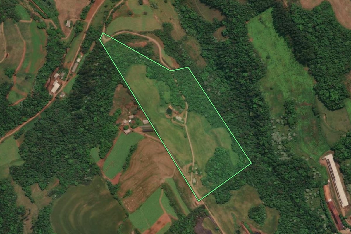 Imagem de satélite do imóvel rural em Três Passos (RS), com o contorno declarado no CAR desenhado por cima.