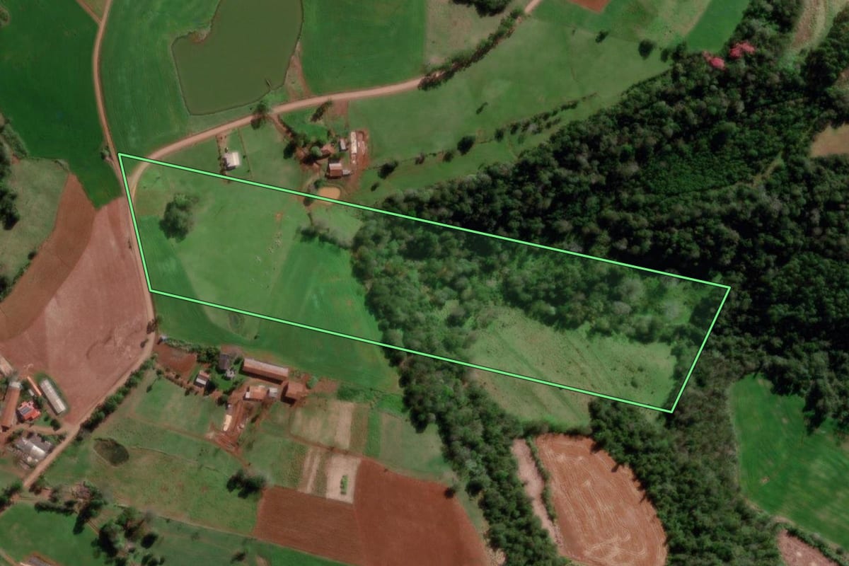 Imagem de satélite do imóvel rural em Três Passos (RS), com o contorno declarado no CAR desenhado por cima.