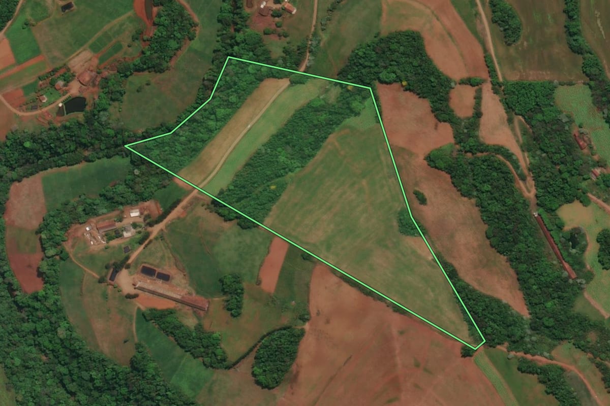 Imagem de satélite do imóvel rural em Três Passos (RS), com o contorno declarado no CAR desenhado por cima.
