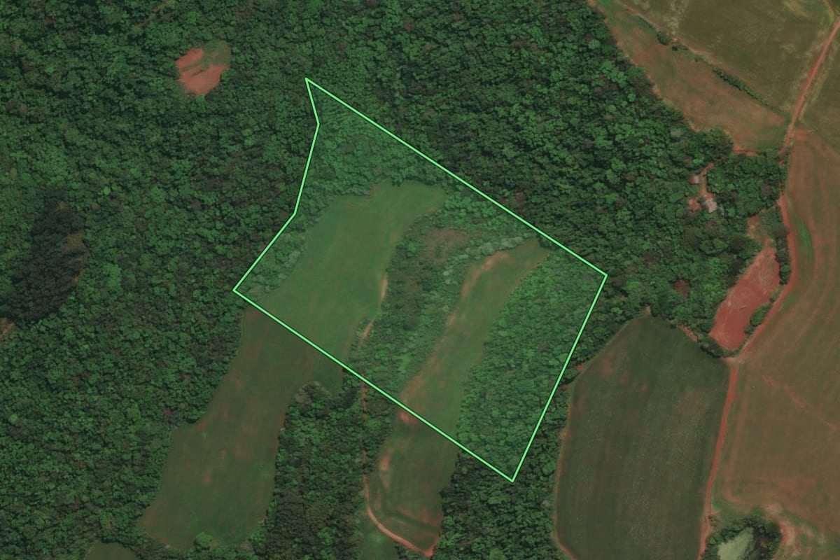 Imagem de satélite do imóvel rural em Três Passos (RS), com o contorno declarado no CAR desenhado por cima.