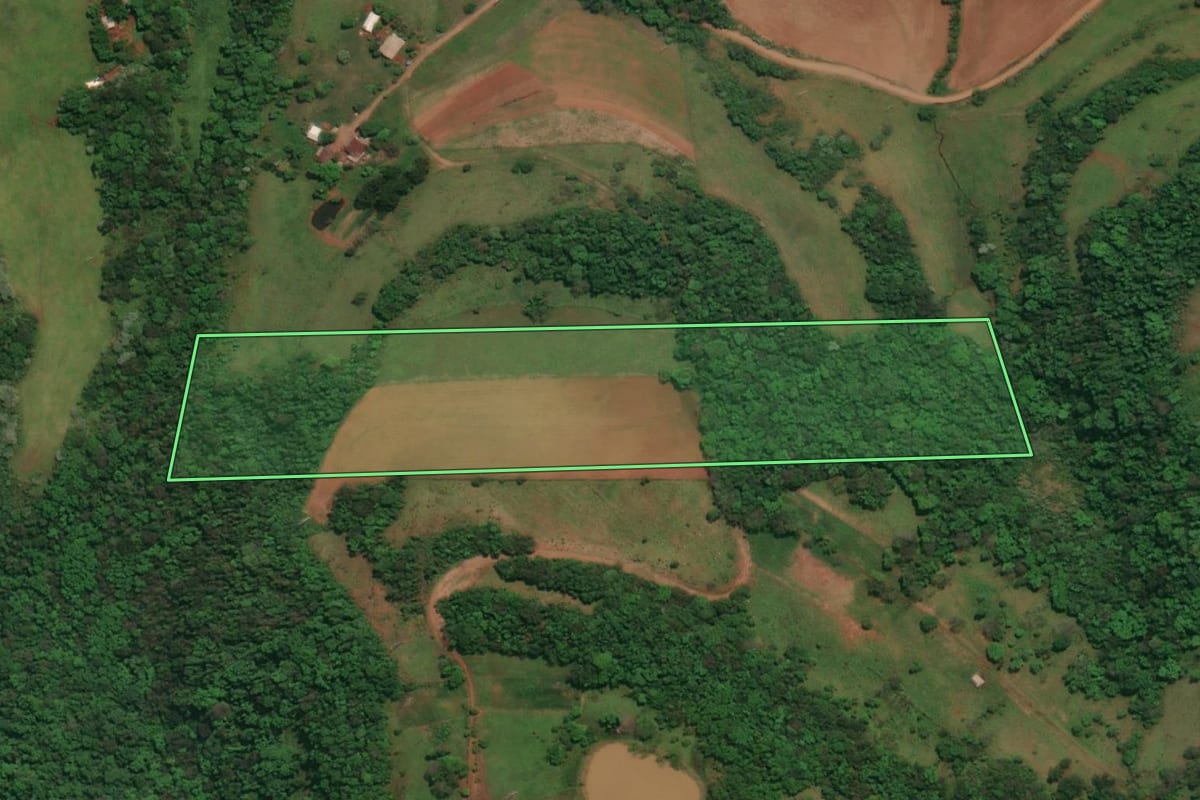 Imagem de satélite do imóvel rural em Três Passos (RS), com o contorno declarado no CAR desenhado por cima.