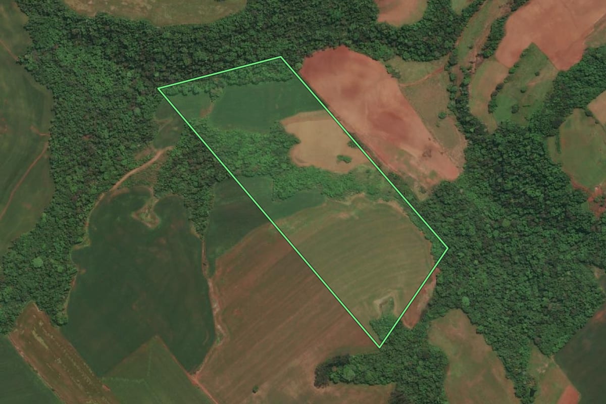 Imagem de satélite do imóvel rural em Três Passos (RS), com o contorno declarado no CAR desenhado por cima.