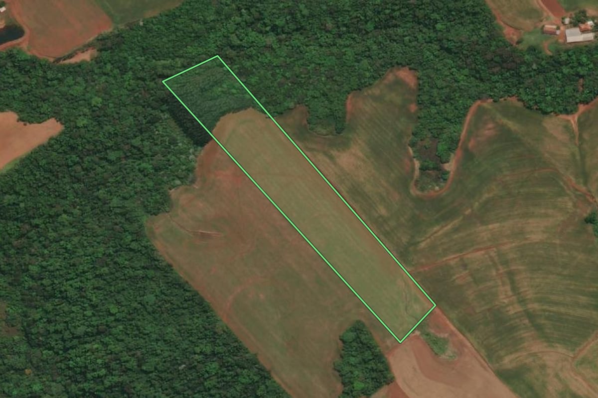 Imagem de satélite do imóvel rural em Três Passos (RS), com o contorno declarado no CAR desenhado por cima.