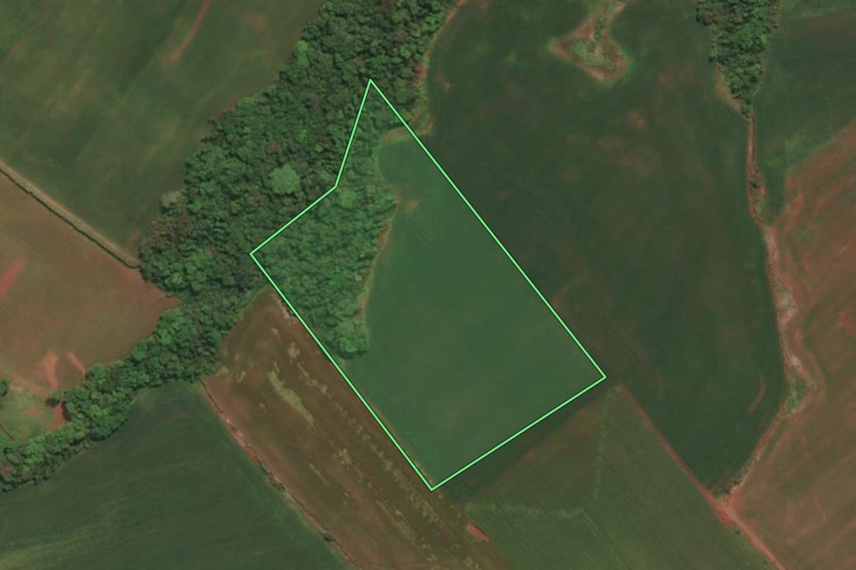 Imagem de satélite do imóvel rural em Três Passos (RS), com o contorno declarado no CAR desenhado por cima.