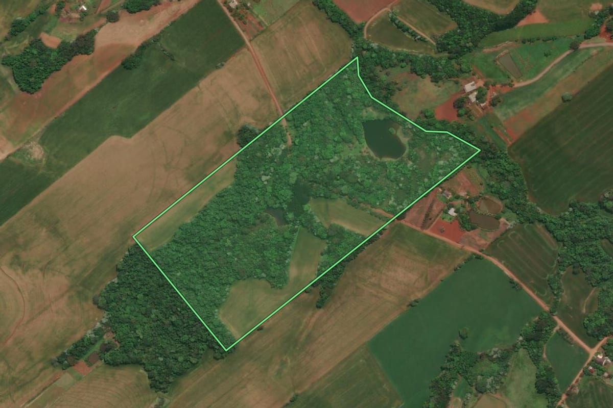 Imagem de satélite do imóvel rural em Três Passos (RS), com o contorno declarado no CAR desenhado por cima.
