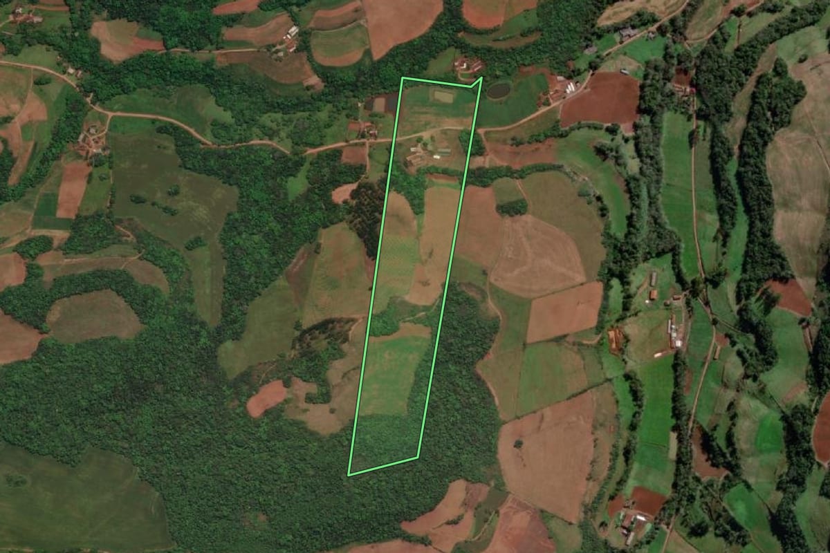 Imagem de satélite do imóvel rural em Três Passos (RS), com o contorno declarado no CAR desenhado por cima.