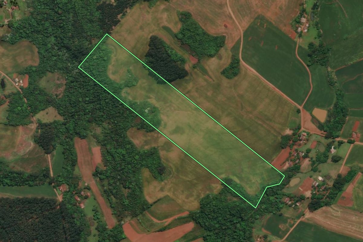 Imagem de satélite do imóvel rural em Três Passos (RS), com o contorno declarado no CAR desenhado por cima.