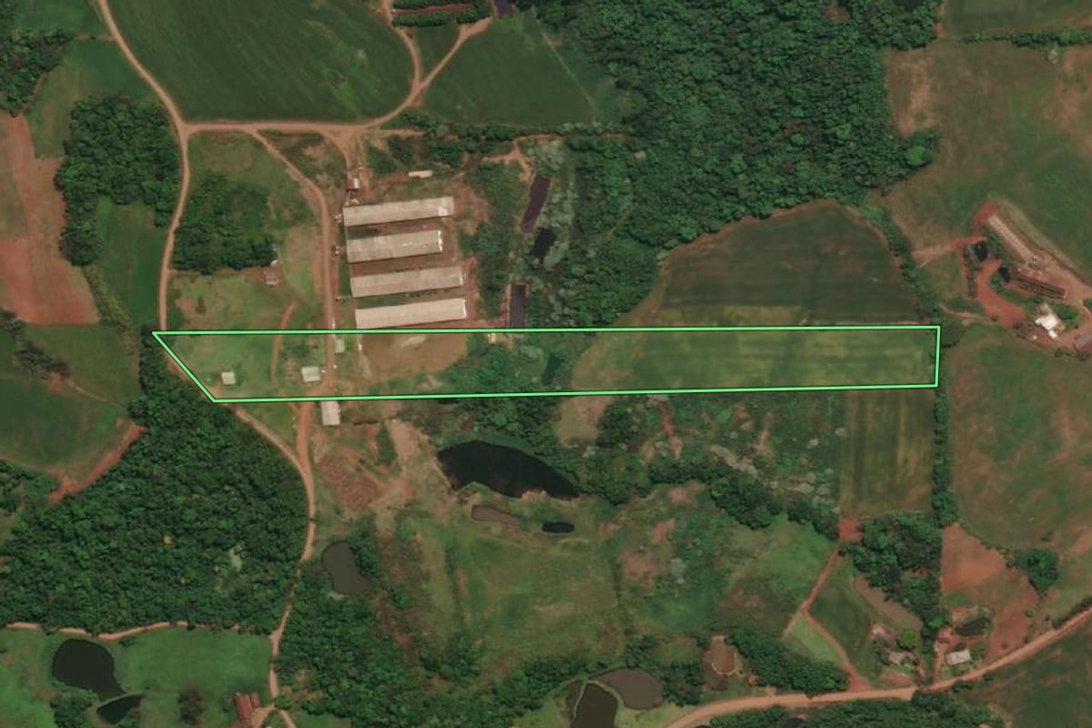 Imagem de satélite do imóvel rural em Três Passos (RS), com o contorno declarado no CAR desenhado por cima.