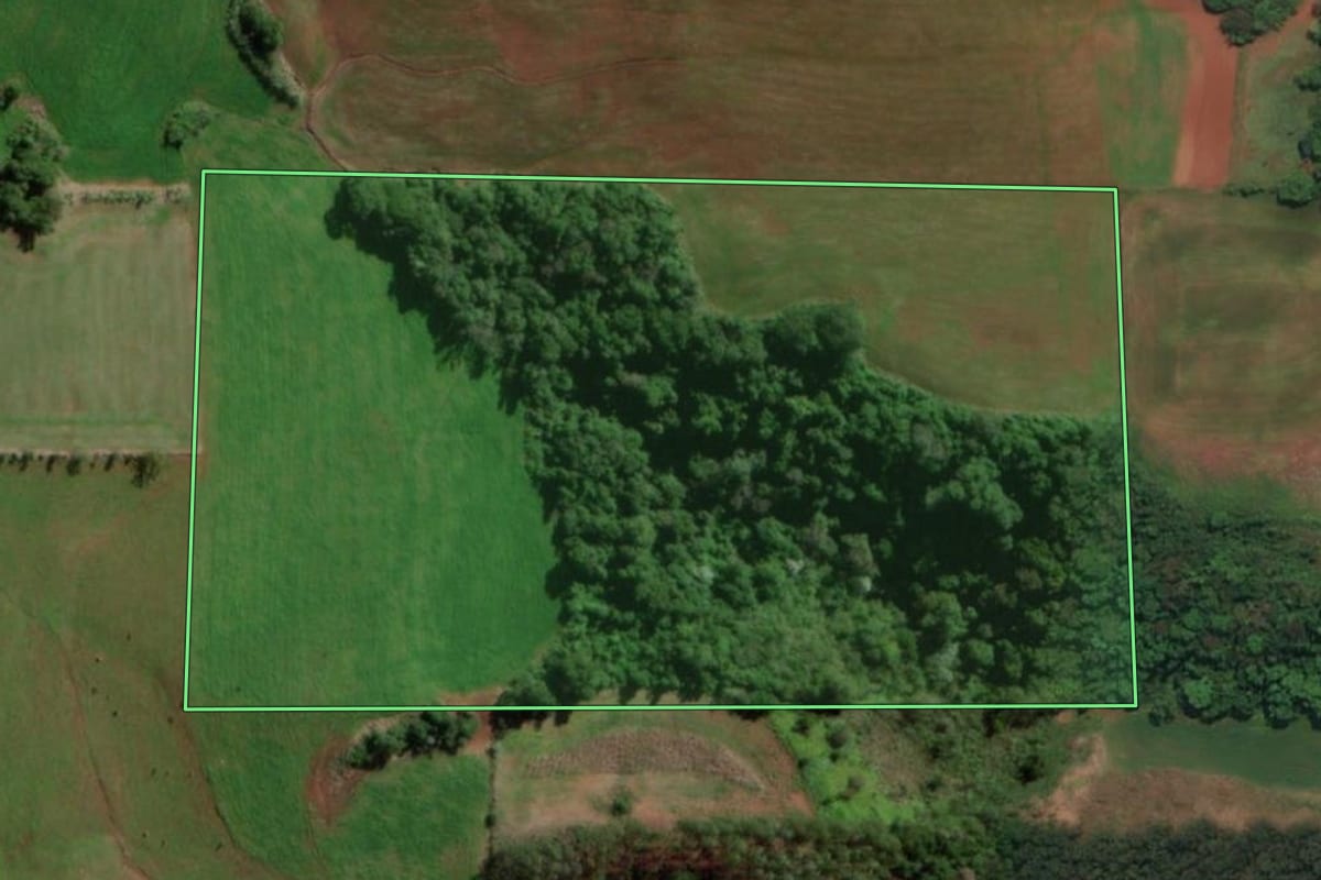 Imagem de satélite do imóvel rural em Três Passos (RS), com o contorno declarado no CAR desenhado por cima.