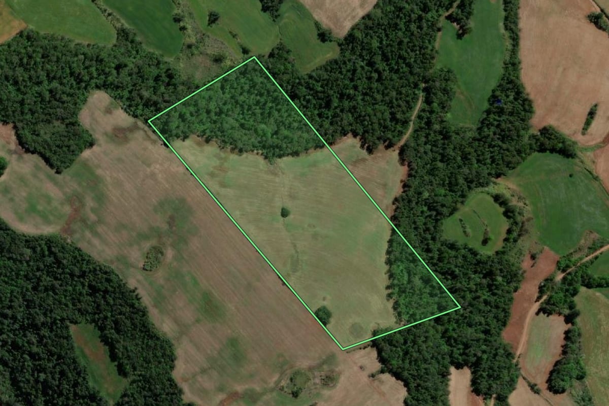 Imagem de satélite do imóvel rural em Três Passos (RS), com o contorno declarado no CAR desenhado por cima.