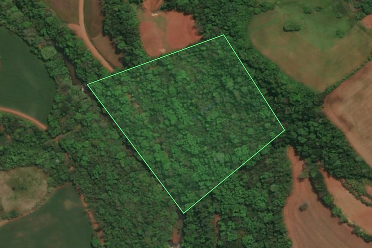 Imagem de satélite do imóvel rural em Três Passos (RS), com o contorno declarado no CAR desenhado por cima.