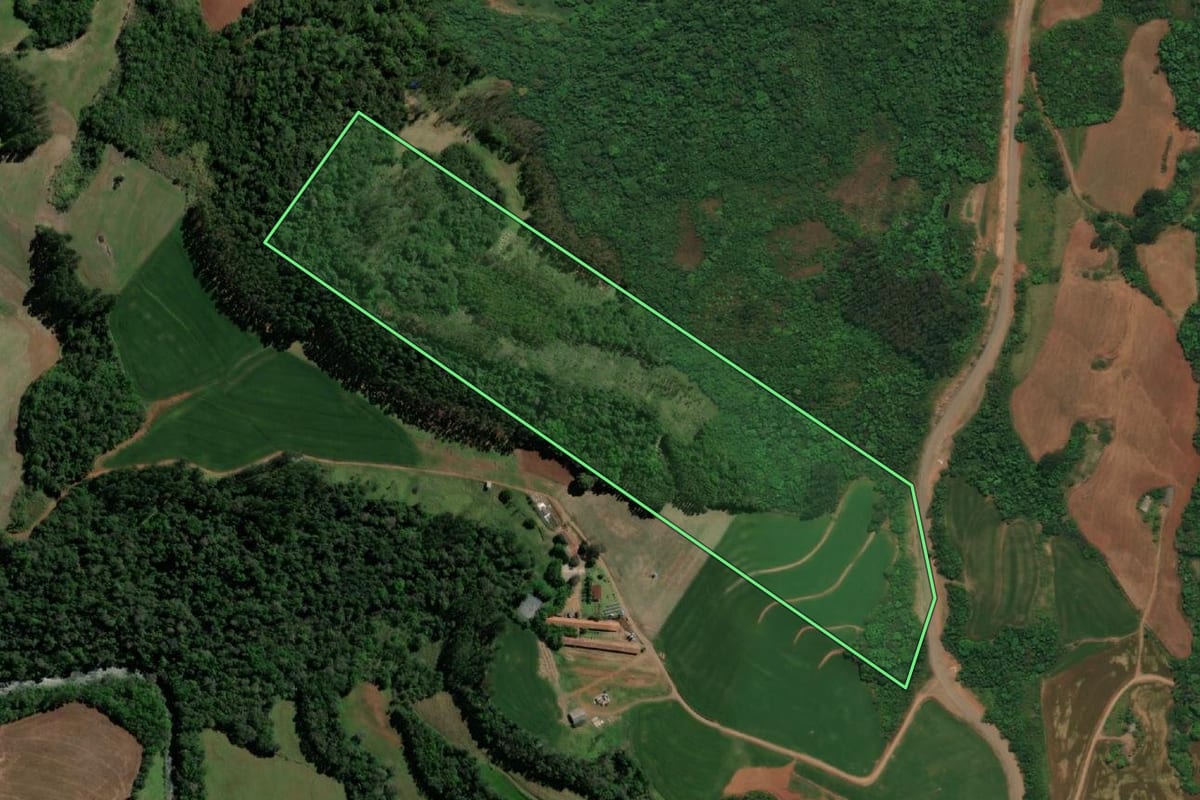 Imagem de satélite do imóvel rural em Três Passos (RS), com o contorno declarado no CAR desenhado por cima.