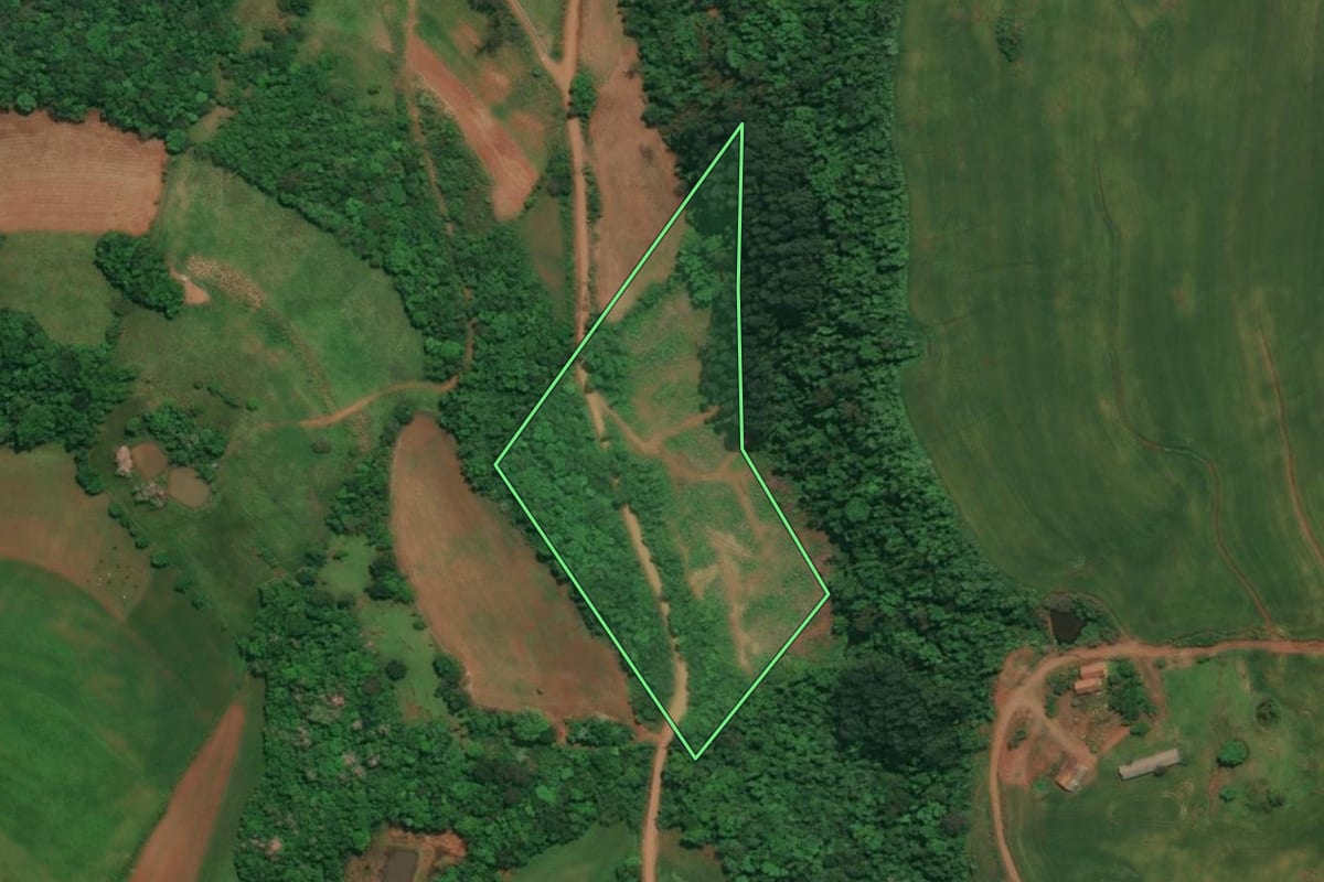 Imagem de satélite do imóvel rural em Três Passos (RS), com o contorno declarado no CAR desenhado por cima.