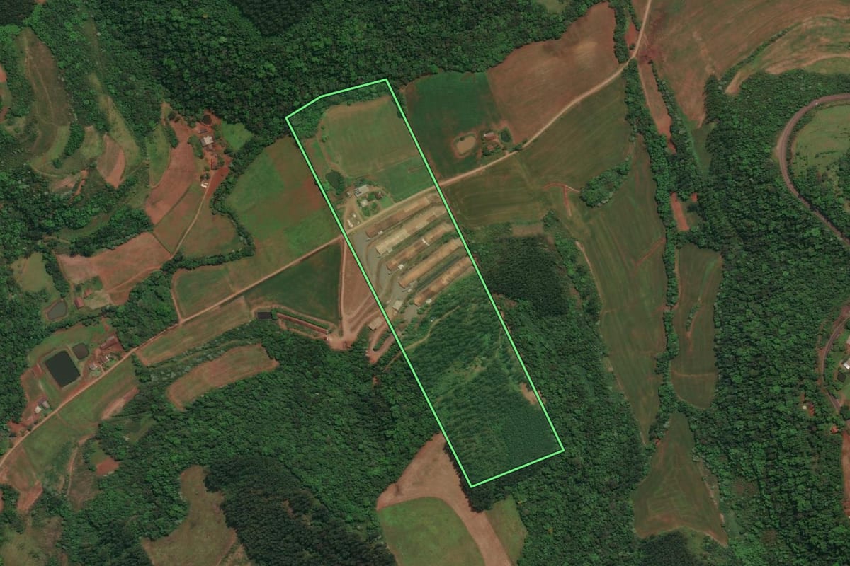 Imagem de satélite do imóvel rural em Três Passos (RS), com o contorno declarado no CAR desenhado por cima.