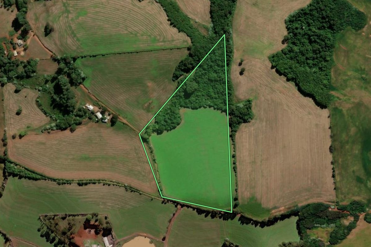 Imagem de satélite do imóvel rural em Trindade do Sul (RS), com o contorno declarado no CAR desenhado por cima.