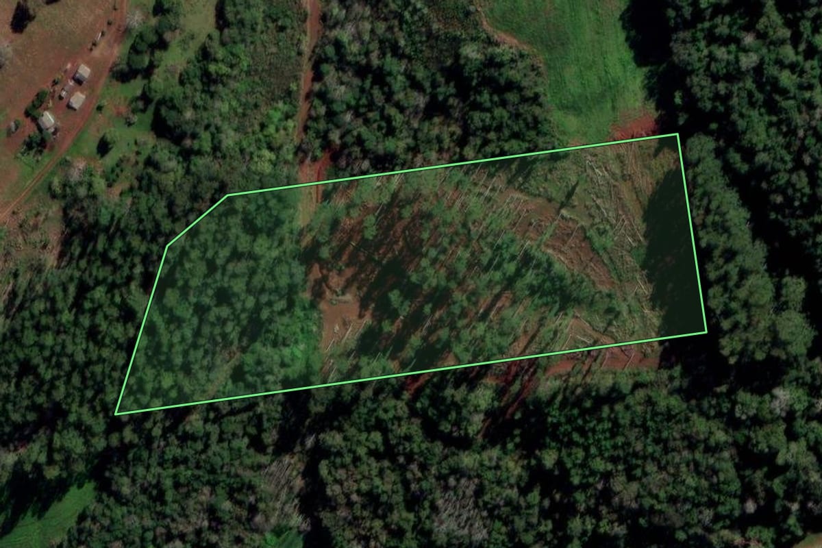 Imagem de satélite do imóvel rural em Trindade do Sul (RS), com o contorno declarado no CAR desenhado por cima.