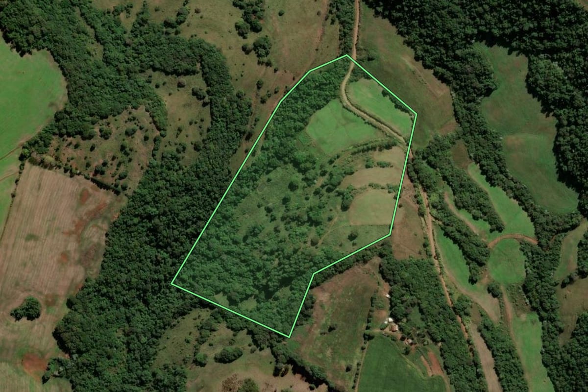 Imagem de satélite do imóvel rural em Trindade do Sul (RS), com o contorno declarado no CAR desenhado por cima.