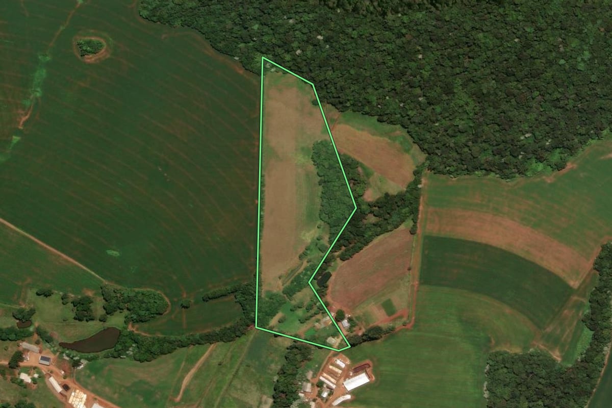 Imagem de satélite do imóvel rural em Trindade do Sul (RS), com o contorno declarado no CAR desenhado por cima.