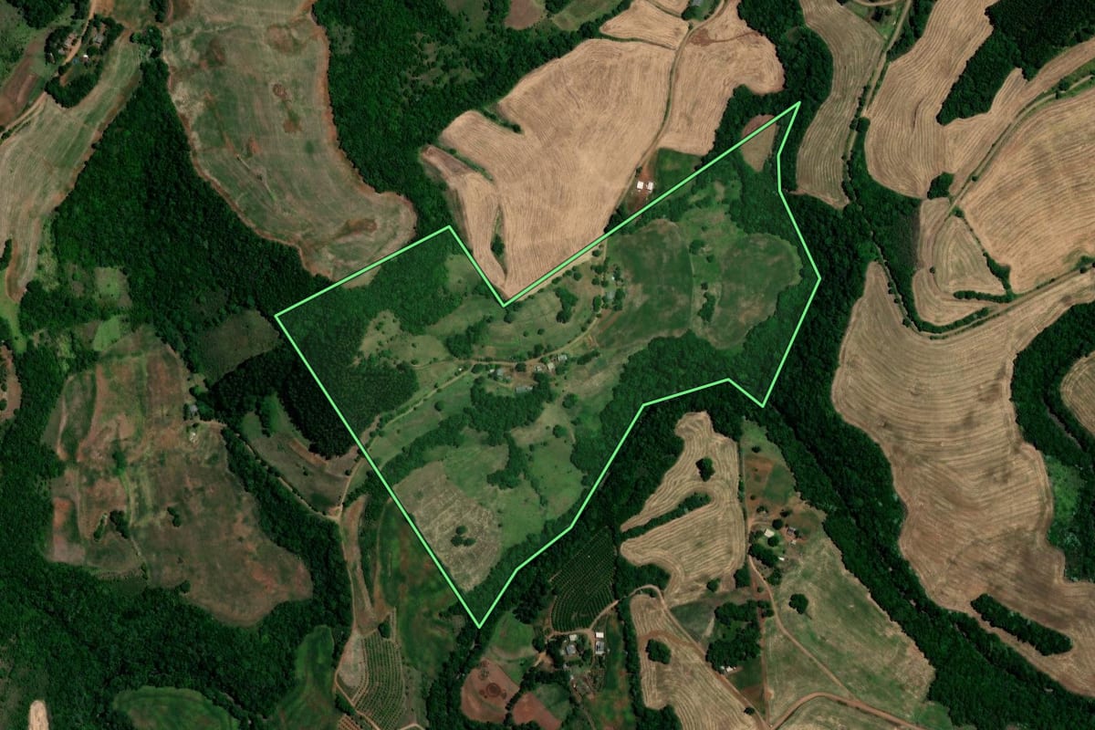 Imagem de satélite do imóvel rural em Trindade do Sul (RS), com o contorno declarado no CAR desenhado por cima.