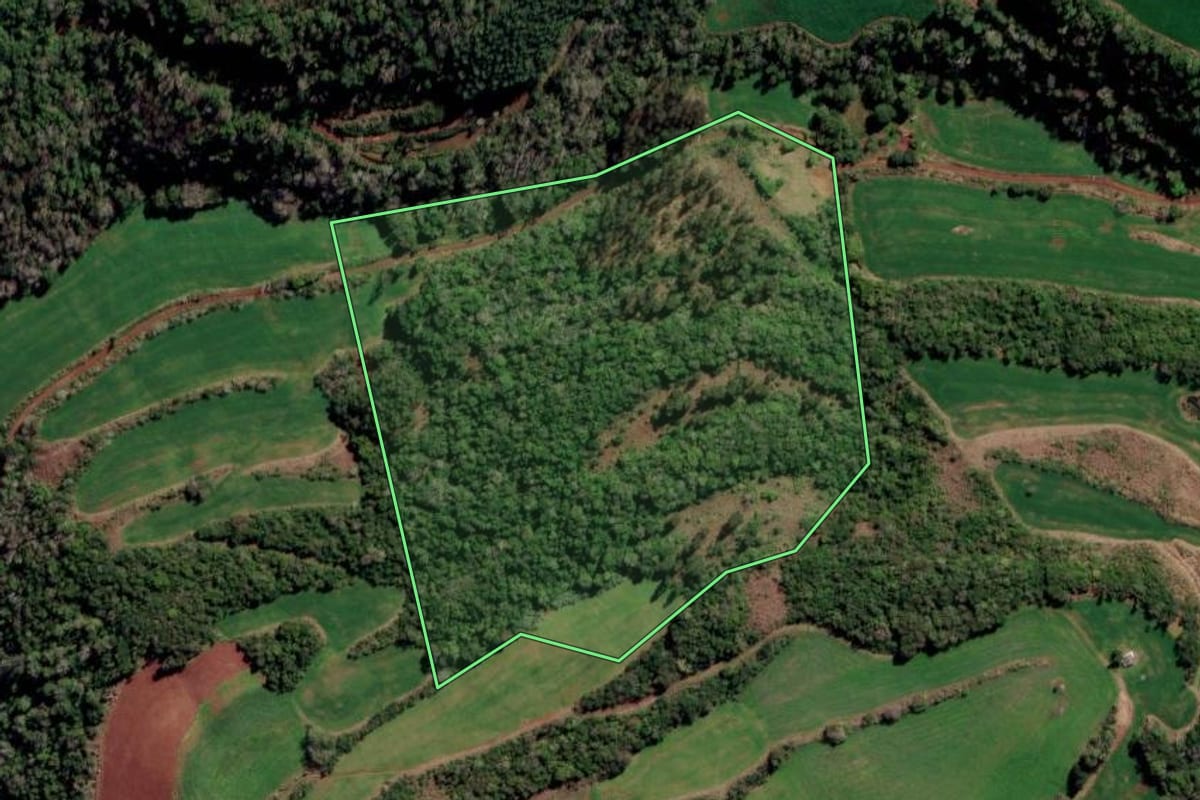 Imagem de satélite do imóvel rural em Trindade do Sul (RS), com o contorno declarado no CAR desenhado por cima.