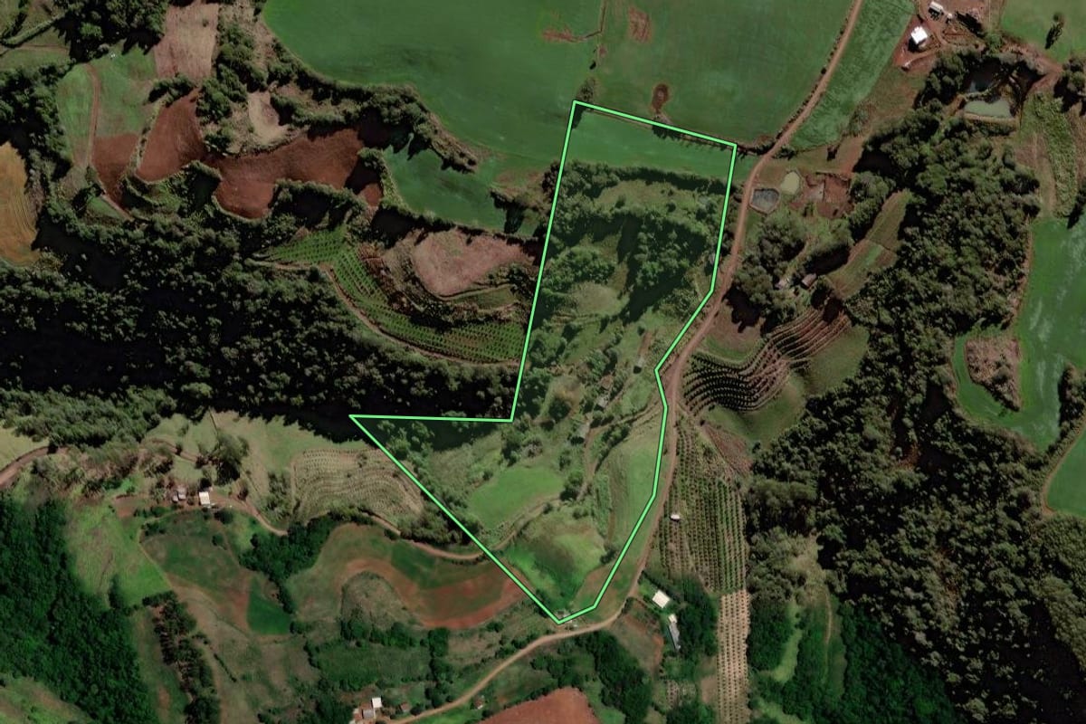 Imagem de satélite do imóvel rural em Trindade do Sul (RS), com o contorno declarado no CAR desenhado por cima.